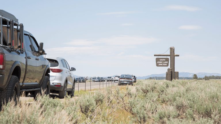 Gtnp Summer Reminders
