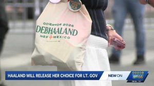 Haaland To Endorse Nm Lt Gov Candidate