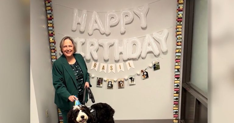 Hamilton County Prosecutor S Office Celebrates Therapy Dog S Birthday