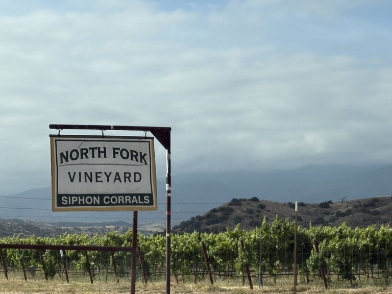 Harvard Exits Cuyama Valley