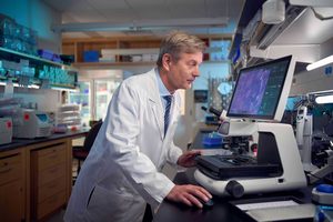 Healthy Gut May Revolutionize Cancer Treatment New Research Shows