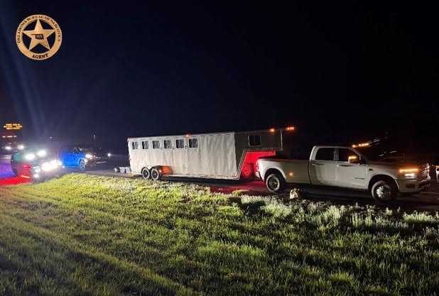 Horses Seized In Oklahoma Cocaine Bust Find New Home