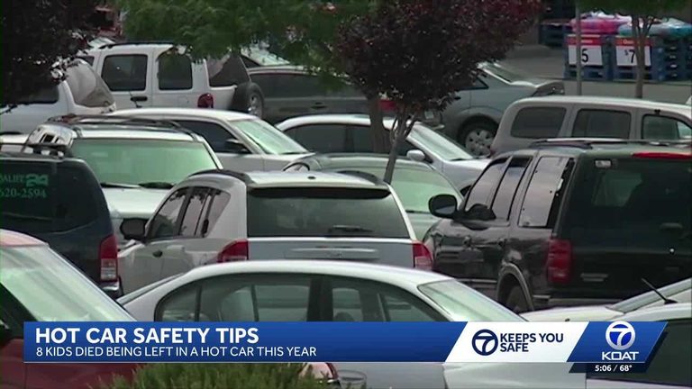 Hot Car Dangers Claim 8 Young Lives This Year