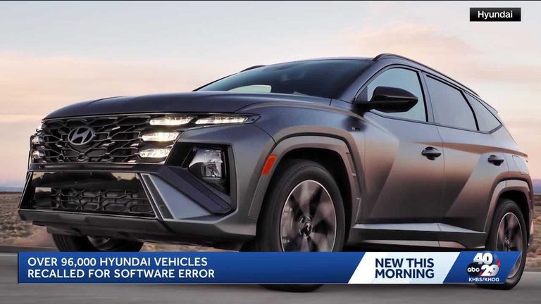 Hyundai Recalls Vehicles Over Software Issue