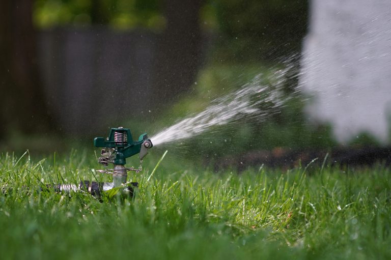 Idaho Residents Debate Watering Lawns Amid Severe Drought