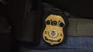 Immigration Agent Struck By Vehicle