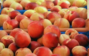 Indiana Seeks Feedback From Snap Recipients On Healthy Food Program