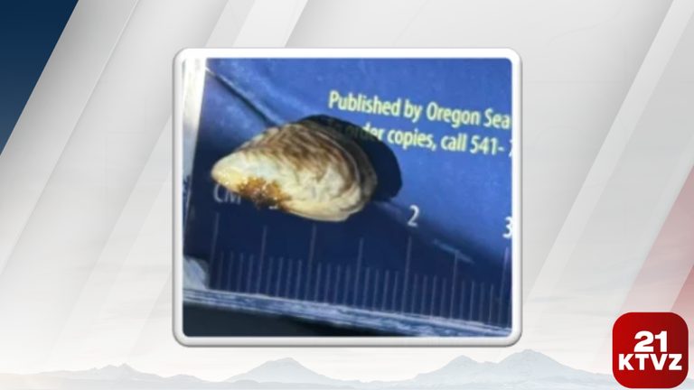 Invasive Mussel Species Found In Prineville Reservoir