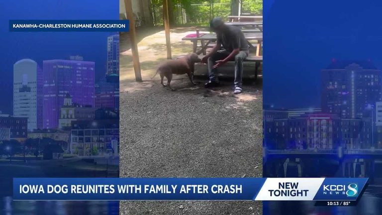 Iowa Dog Reunited With Family