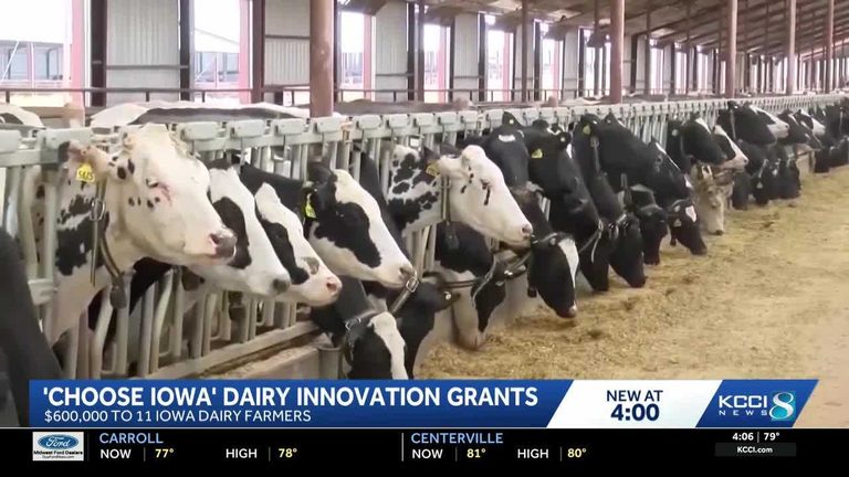 Iowa Farm Wins Dairy Grant