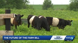 Iowa Farmers Await New Farm Bill