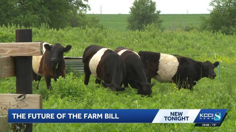 Iowa Farmers Await New Farm Bill