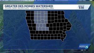 Iowa Farmers Eligible For Cover Crop Aid