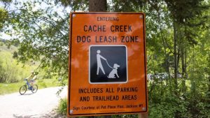 Jackson Trail Rules