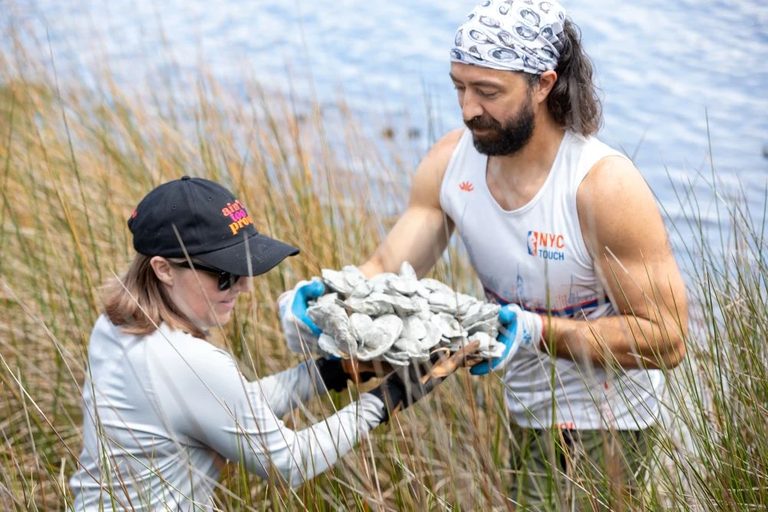 Jacksonville Volunteers Plant Oyster Shell Habitats