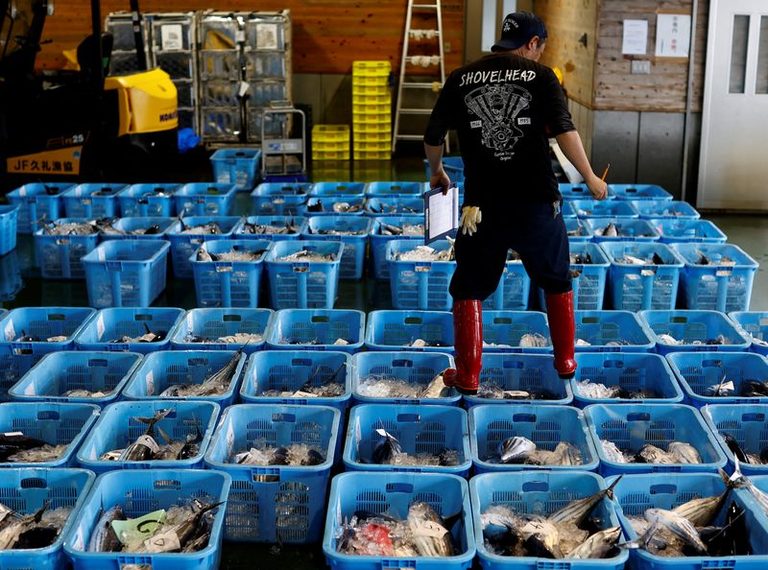 Japan Wholesale Prices Rise 6 3