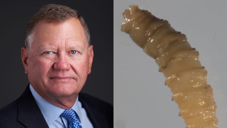 John Bellinger Appointed To Tackle Screwworm Threat In Texas
