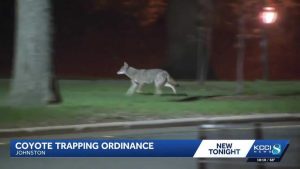 Johnston Revises Animal Control Ordinance