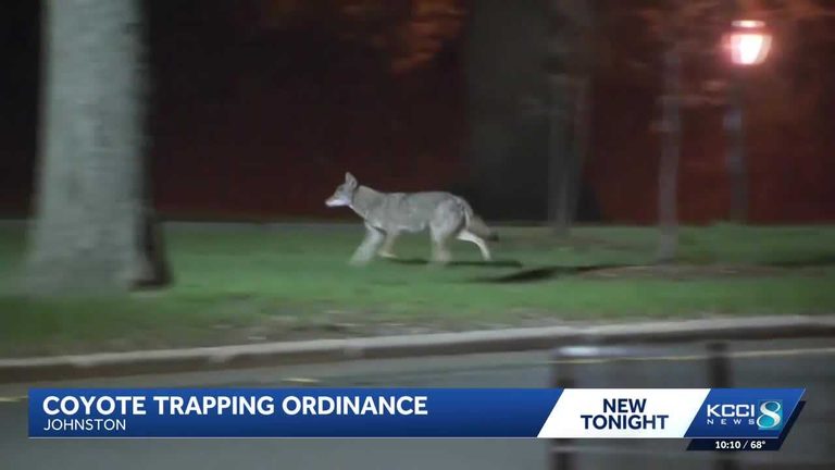 Johnston Revises Animal Control Ordinance