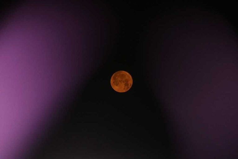 June S Micro Strawberry Moon