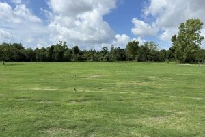 Kemah Secures 2 6M Grant For Nature Reserve