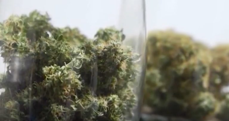Kentucky Ends Out Of State Medical Marijuana