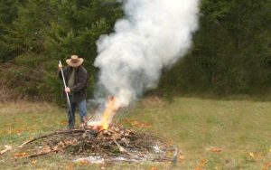 King County Yard Waste Burning Ban Proposed