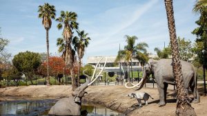 La Brea Tar Pits Hosts Farewell Disco Party