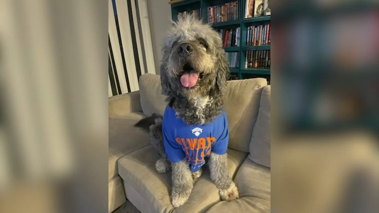 La Mayor Promises Investigation Into Dog Shooting