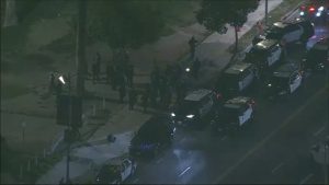 La Police Dea Execute Operation