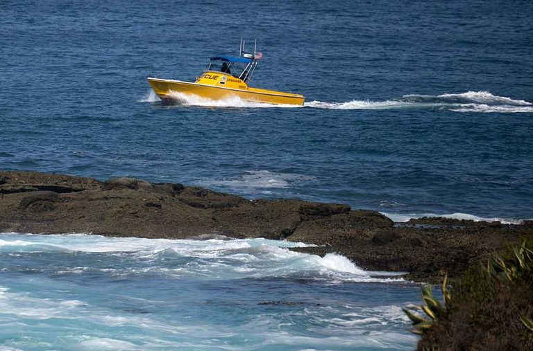 Laguna Beach Search