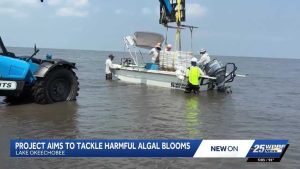 Lake Okeechobee Water Quality
