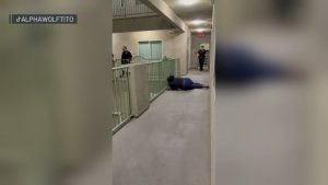 Lapd Shoots Dog In Canoga Park