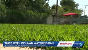 Lawn Watering Ban Reduces Water Usage