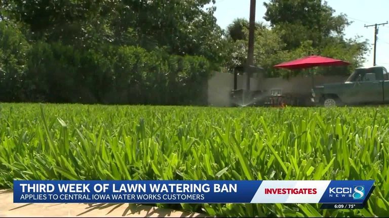 Lawn Watering Ban Reduces Water Usage