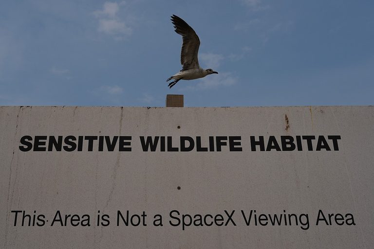 Lawsuit Challenges Land Swap With Spacex In Texas