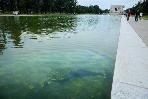 Lincoln Memorial Reflecting Pool Renovation Issues