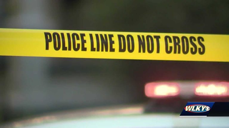 Man Dies After Being Hit By Car On Gardiner Lane