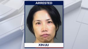 Manatee County Detectives Dismantle 3 5M Elder Fraud Network