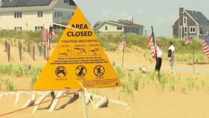 Massachusetts Town Defends Endangered Species Notice