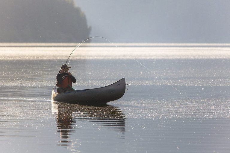 Michigan Officials Promote Aquatic Invasive Species Awareness