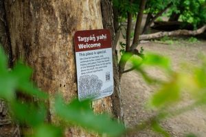 Minneapolis Park Board Considers Closing Dog Park For Sacred Site Restoration