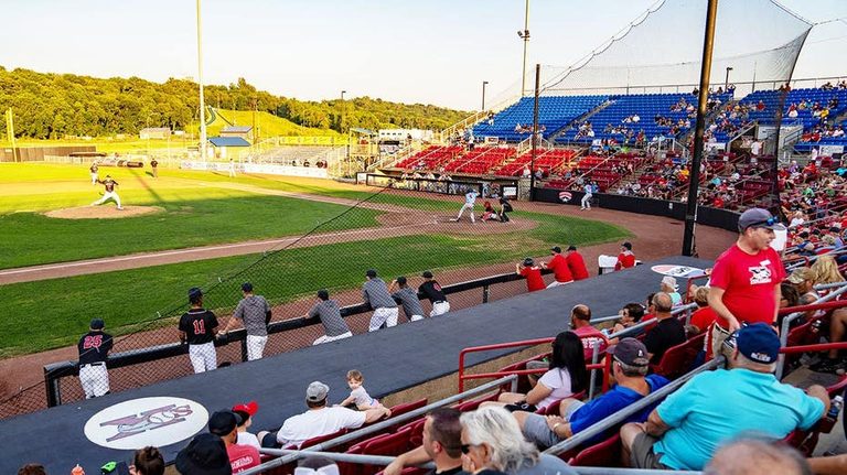 Minor League Manager S Epic Meltdown
