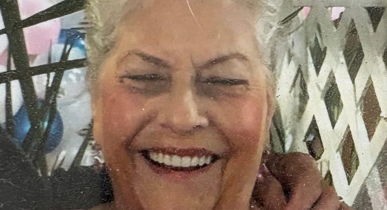 Missing 81 Year Old Woman Sought In New Port Richey