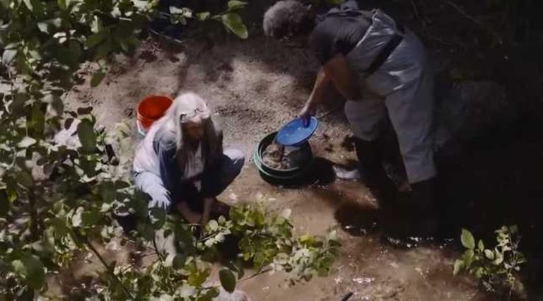 Modern Day Prospectors Seek Gold In California S Historic Sites