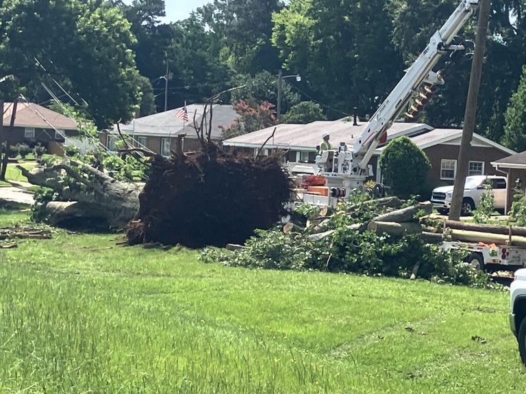 Montgomery Cleans Up After Storms