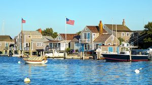 Nantucket Tackles Lyme Disease With Innovative Mouse Project