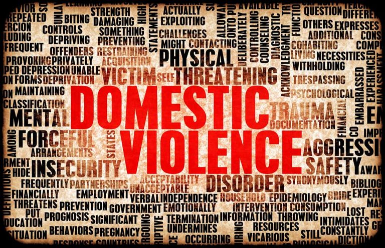 Naperville Sees 1 200 Domestic Violence Incidents In 2025