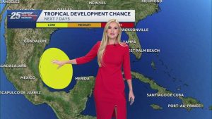National Hurricane Center Tracks Disturbance