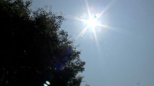 New Albany Cooling Center Opens